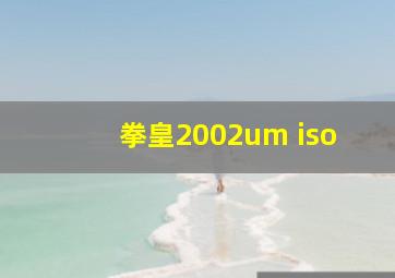 拳皇2002um iso